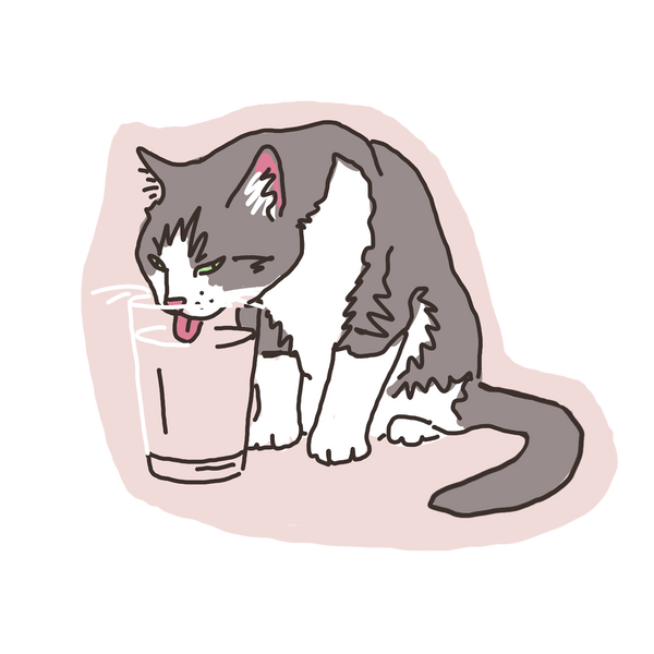 Cat Drinking Water Sticker